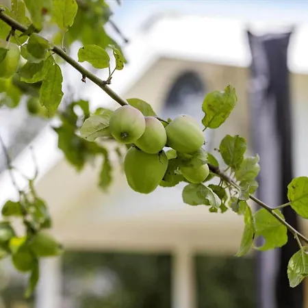 Ll266-humble-musvitvaenget-2