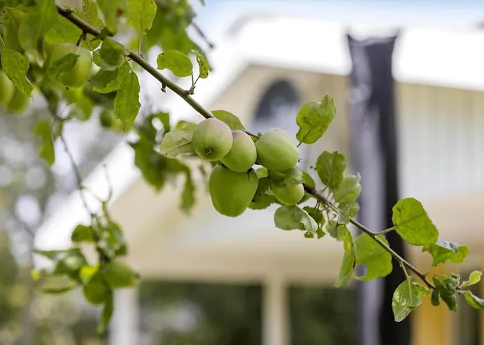 Ll266-humble-musvitvaenget-2